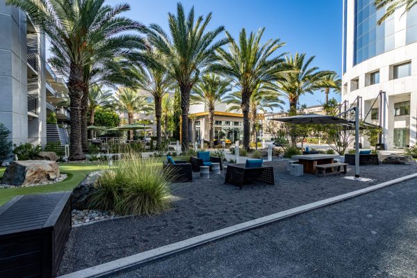 Day Grounds IMG_6762-HDR